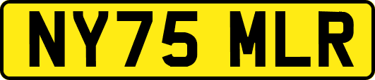 NY75MLR