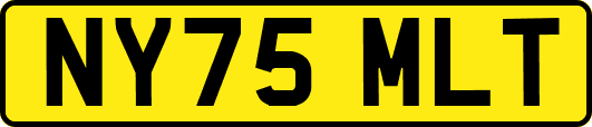 NY75MLT