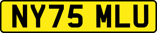 NY75MLU