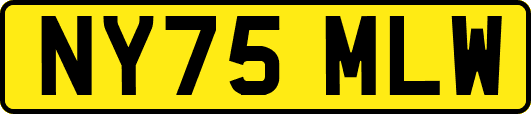 NY75MLW