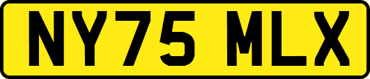 NY75MLX