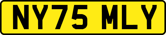 NY75MLY