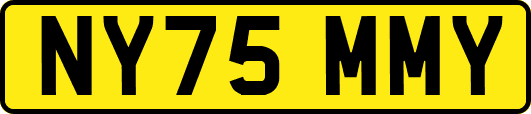 NY75MMY
