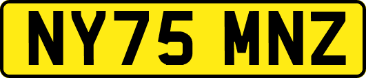 NY75MNZ