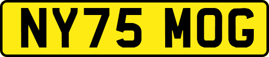 NY75MOG
