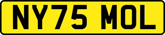 NY75MOL