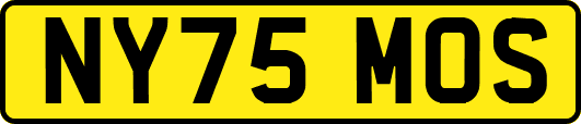 NY75MOS