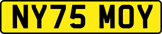 NY75MOY