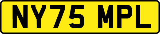 NY75MPL