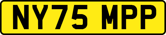 NY75MPP