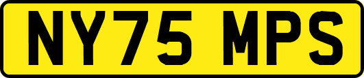NY75MPS