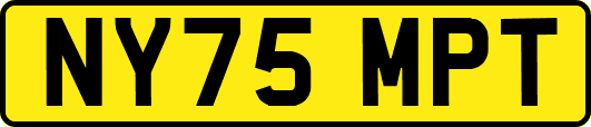 NY75MPT