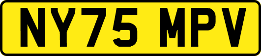 NY75MPV