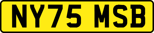 NY75MSB