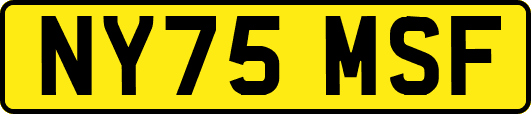 NY75MSF