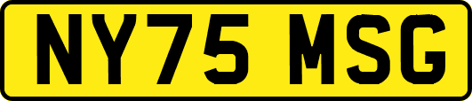 NY75MSG