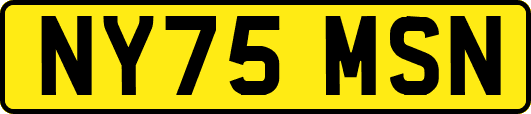 NY75MSN