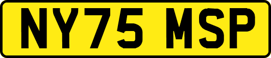 NY75MSP
