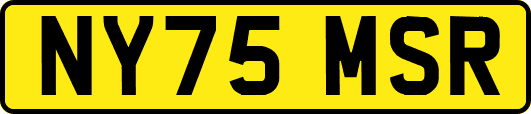NY75MSR