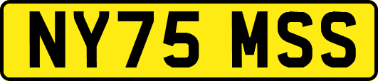 NY75MSS