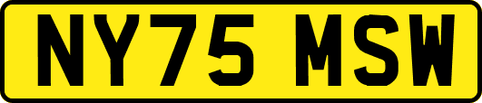 NY75MSW