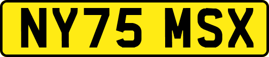 NY75MSX