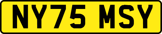 NY75MSY