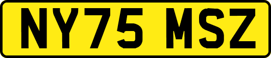 NY75MSZ