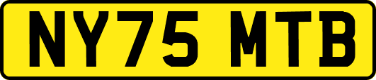 NY75MTB