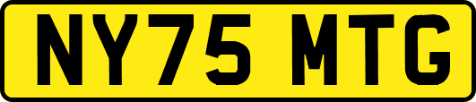 NY75MTG