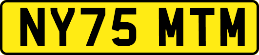 NY75MTM