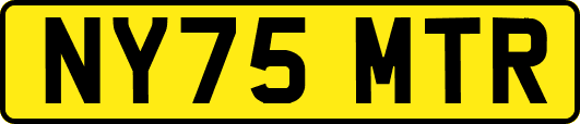 NY75MTR