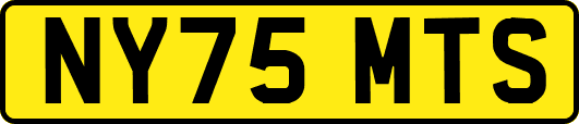 NY75MTS