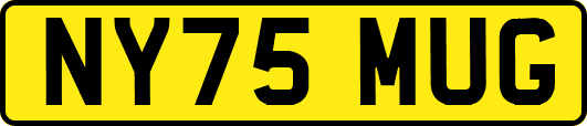 NY75MUG