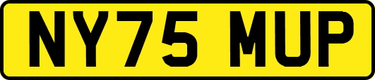 NY75MUP