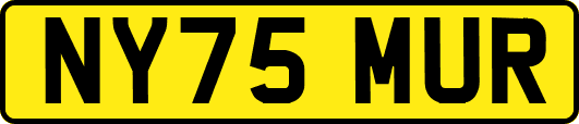 NY75MUR
