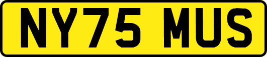 NY75MUS