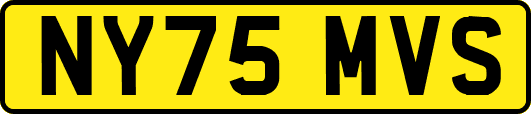 NY75MVS