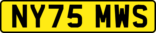 NY75MWS