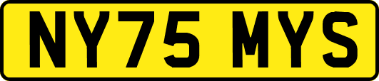NY75MYS