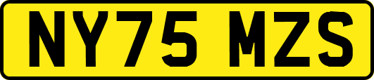 NY75MZS