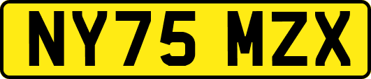 NY75MZX