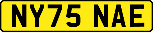 NY75NAE