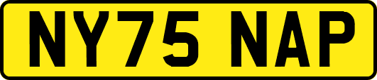 NY75NAP
