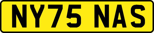 NY75NAS