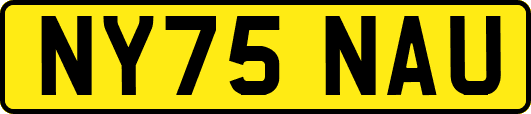 NY75NAU