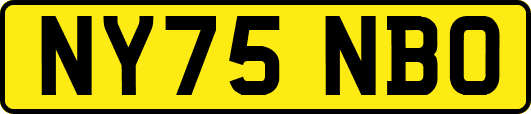 NY75NBO