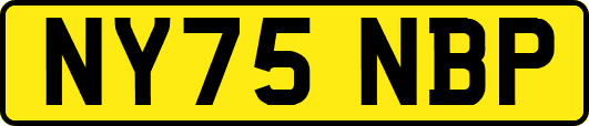 NY75NBP