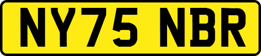 NY75NBR