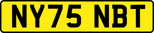 NY75NBT